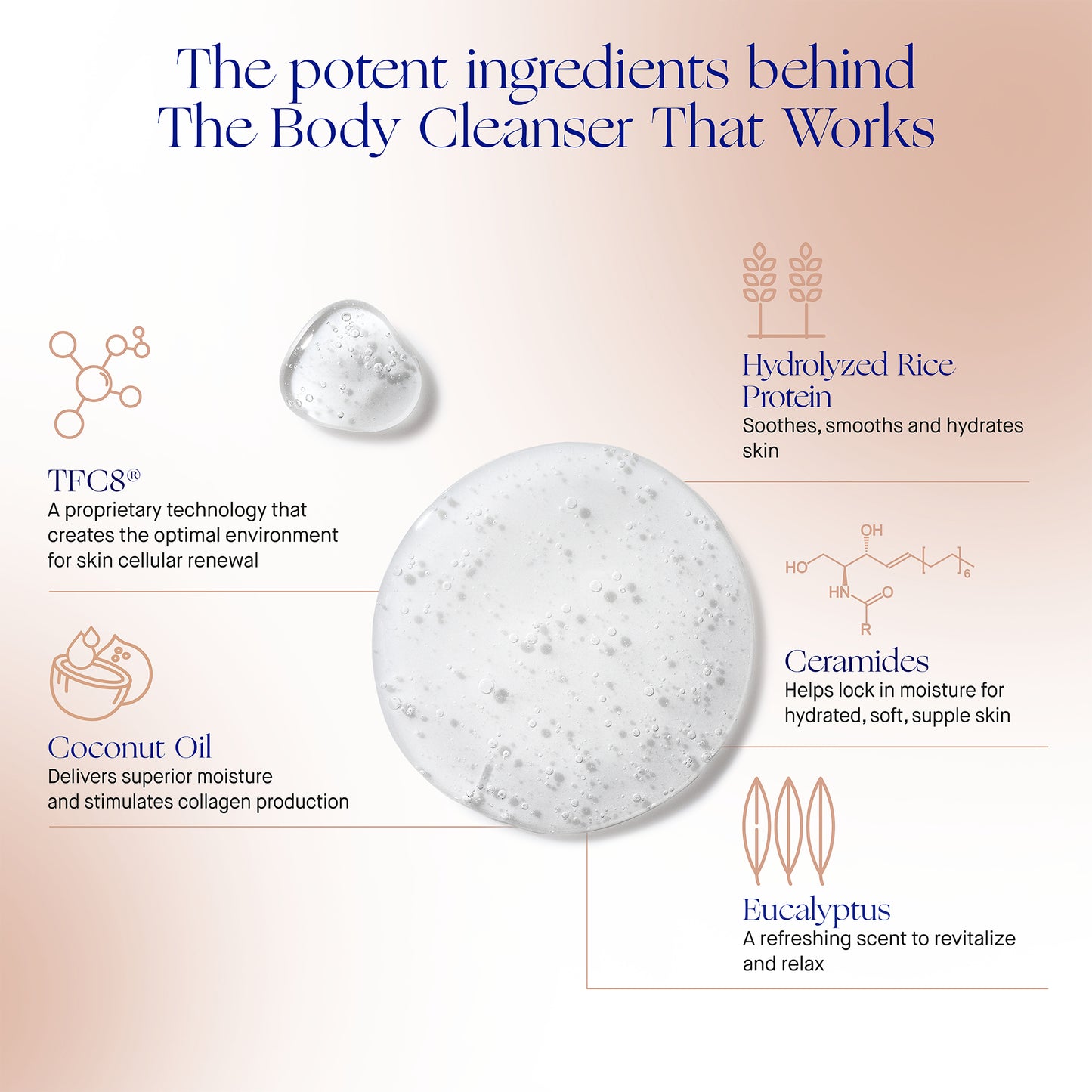 THE BODY CLEANSER